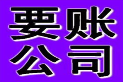 逾期借款法院判决执行期限解析